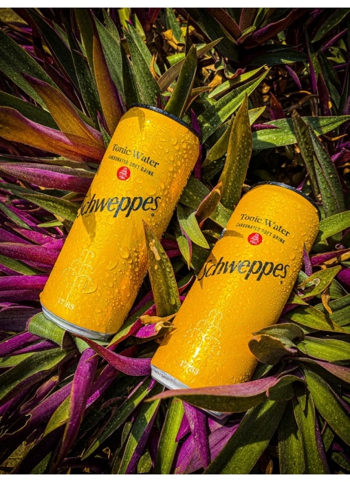 schweppes tonik