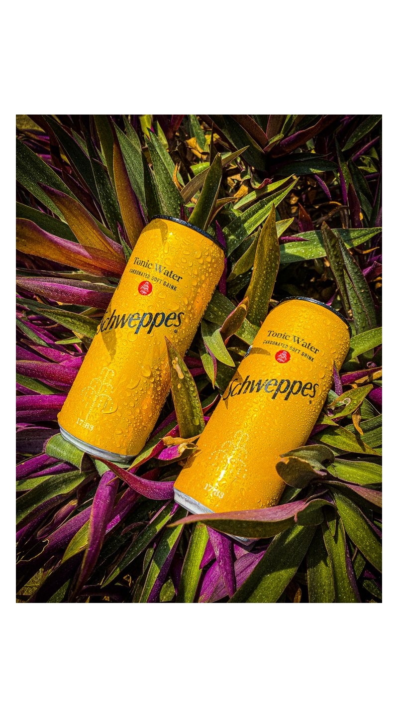 schweppes tonik